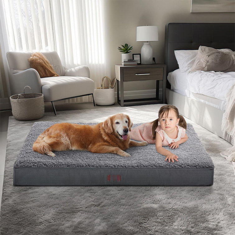 Large dog beds with hotsell washable covers